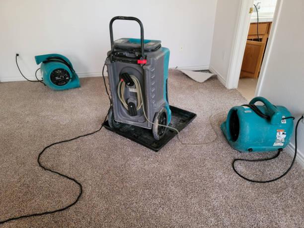 Best Carpet water damage restoration  in Krebs, OK
