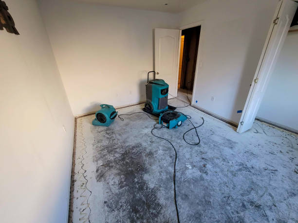 Best Mold removal after water damage  in Krebs, OK