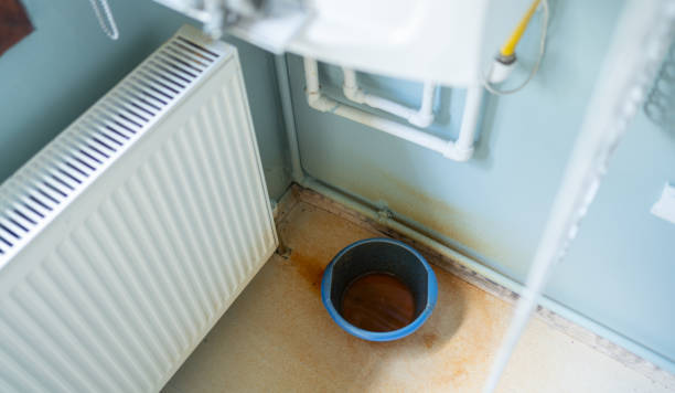 Best Professional water damage repair  in Krebs, OK