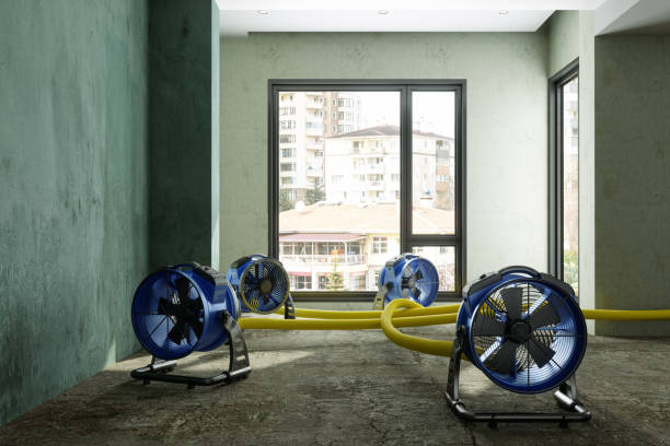 Best Flood restoration services  in Krebs, OK